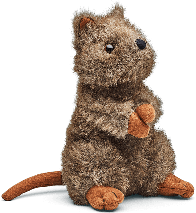 Quokka plush toy